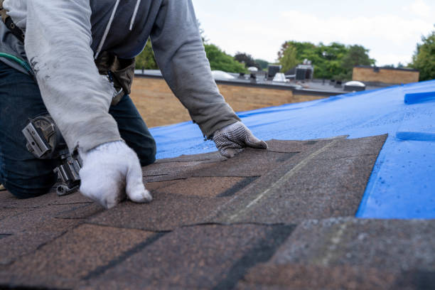 Best Residential Roofing Contractor  in Danville, KY