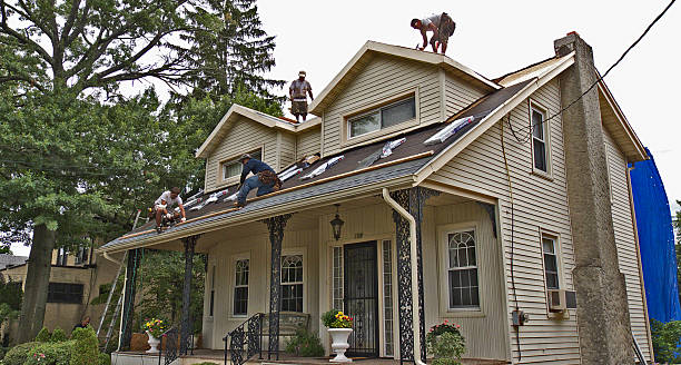 Best Roof Repair Services  in Danville, KY
